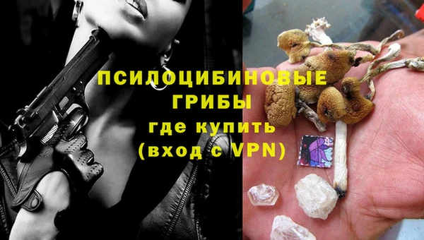 Альфа ПВП Аркадак