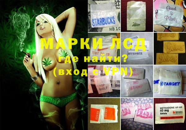 Альфа ПВП Аркадак